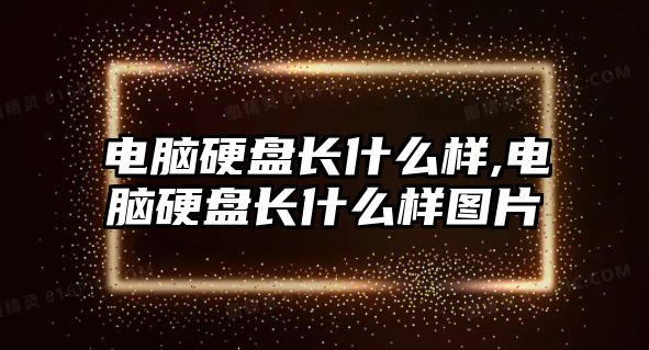 電腦硬盤(pán)長(cháng)什么樣,電腦硬盤(pán)長(cháng)什么樣圖片