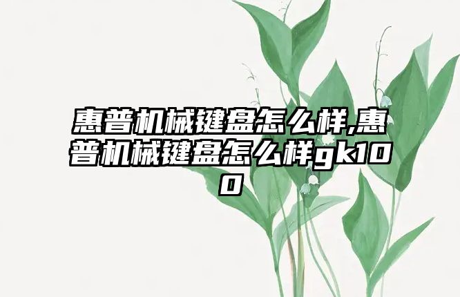 惠普機械鍵盤(pán)怎么樣,惠普機械鍵盤(pán)怎么樣gk100