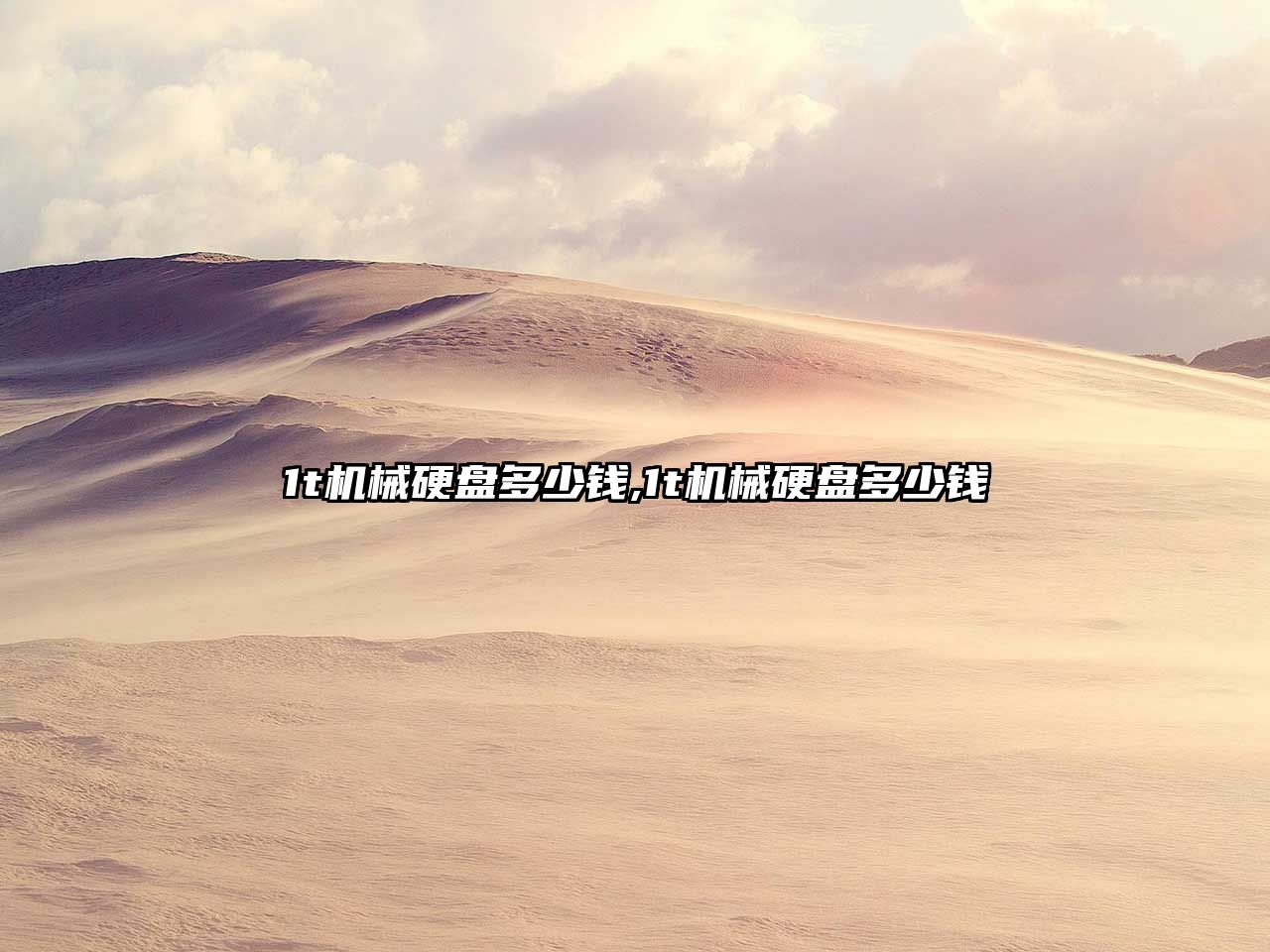 1t機械硬盤(pán)多少錢(qián),1t機械硬盤(pán)多少錢(qián)