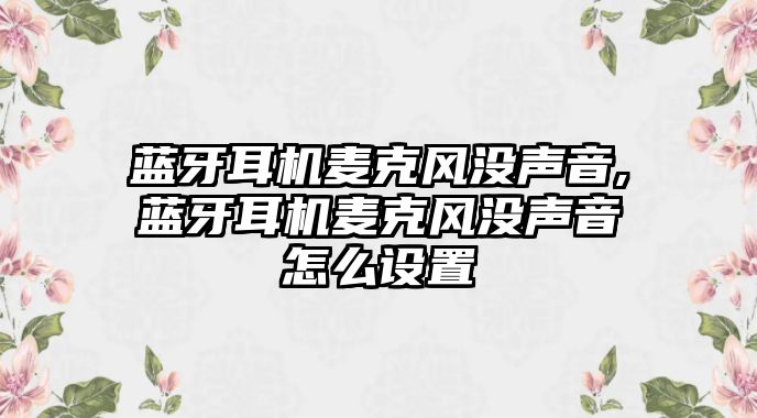 藍牙耳機麥克風(fēng)沒(méi)聲音,藍牙耳機麥克風(fēng)沒(méi)聲音怎么設置