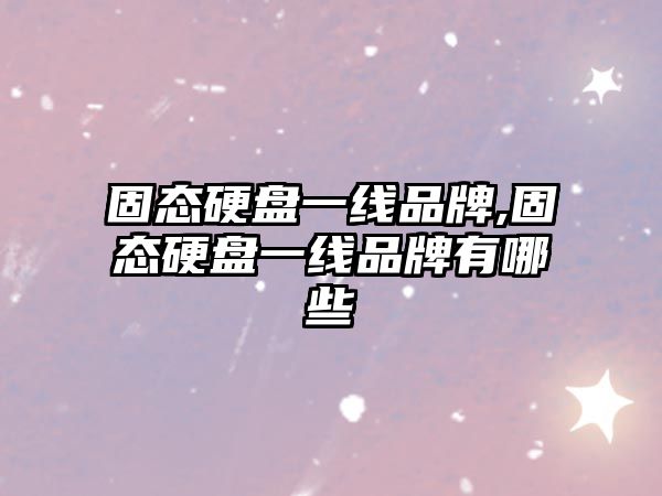 固態(tài)硬盤(pán)一線(xiàn)品牌,固態(tài)硬盤(pán)一線(xiàn)品牌有哪些