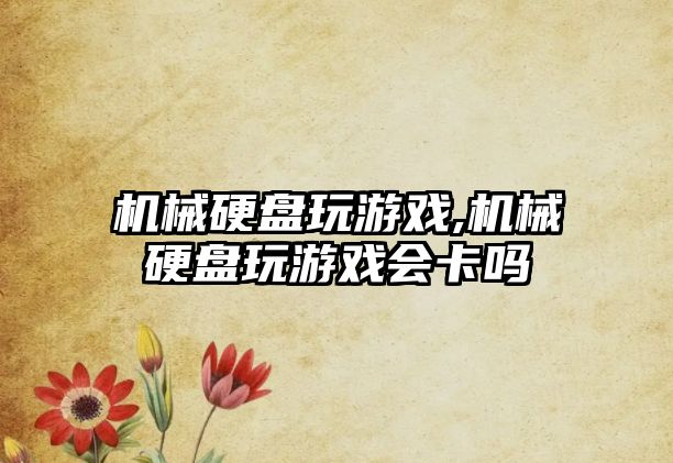 機械硬盤(pán)玩游戲,機械硬盤(pán)玩游戲會(huì )卡嗎