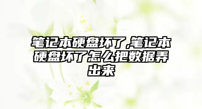 筆記本硬盤(pán)壞了,筆記本硬盤(pán)壞了怎么把數據弄出來(lái)