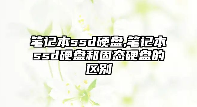 筆記本ssd硬盤(pán),筆記本ssd硬盤(pán)和固態(tài)硬盤(pán)的區別
