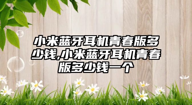 小米藍牙耳機青春版多少錢(qián),小米藍牙耳機青春版多少錢(qián)一個(gè)