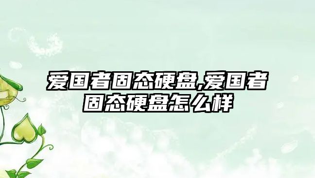 愛(ài)國者固態(tài)硬盤(pán),愛(ài)國者固態(tài)硬盤(pán)怎么樣
