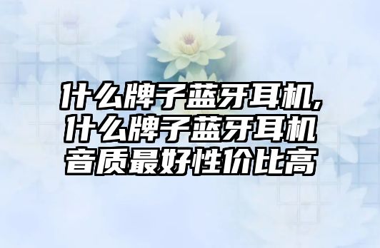 什么牌子藍牙耳機,什么牌子藍牙耳機音質(zhì)最好性?xún)r(jià)比高