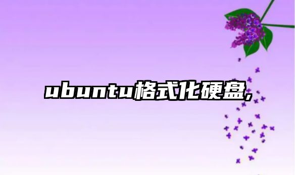 ubuntu格式化硬盤(pán),