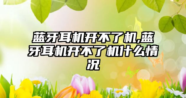 藍牙耳機開(kāi)不了機,藍牙耳機開(kāi)不了機什么情況