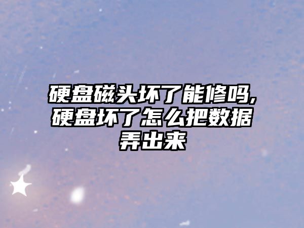 硬盤(pán)磁頭壞了能修嗎,硬盤(pán)壞了怎么把數據弄出來(lái)