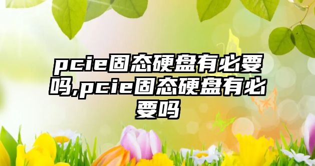 pcie固態(tài)硬盤(pán)有必要嗎,pcie固態(tài)硬盤(pán)有必要嗎