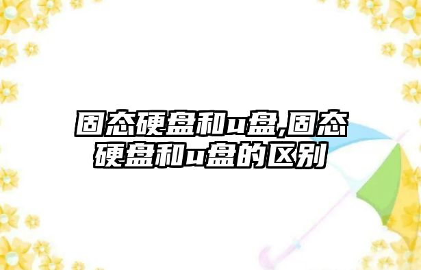 固態(tài)硬盤(pán)和u盤(pán),固態(tài)硬盤(pán)和u盤(pán)的區別