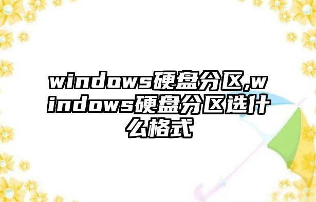 windows硬盤(pán)分區,windows硬盤(pán)分區選什么格式