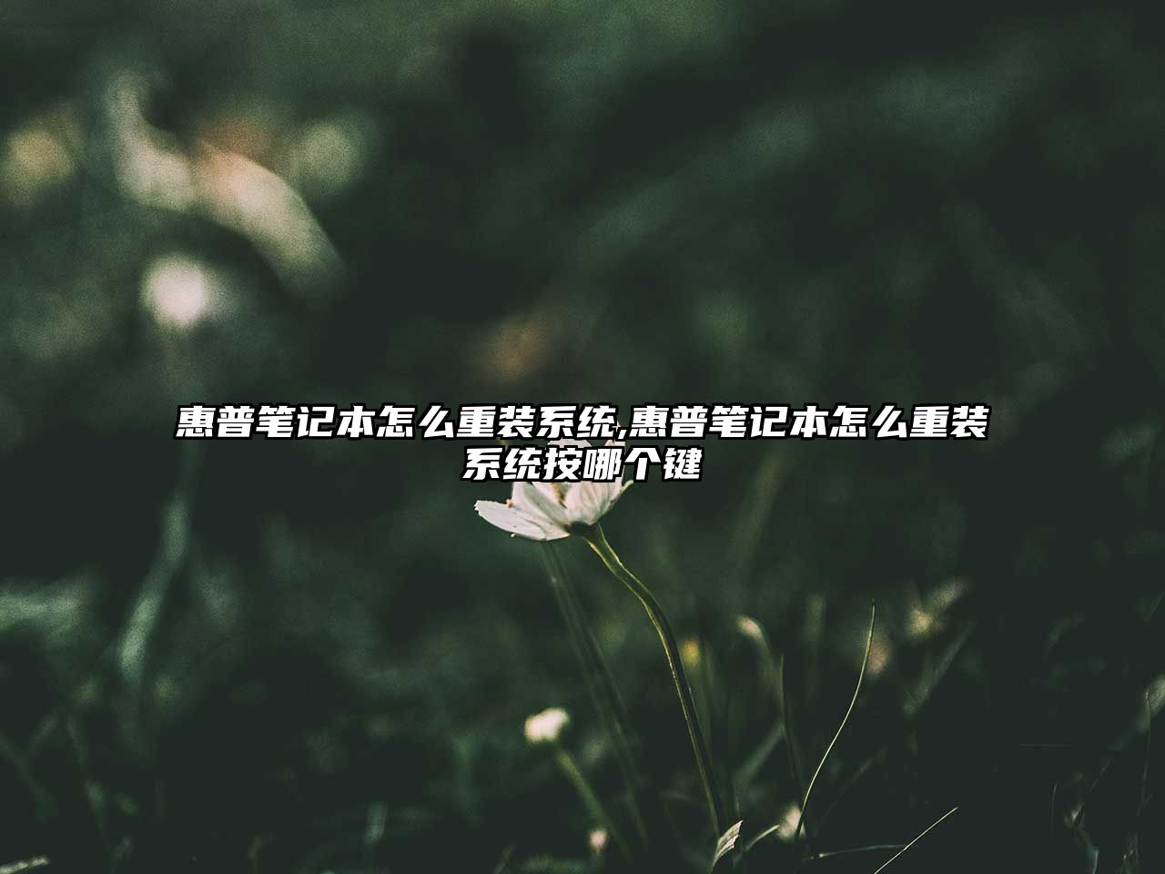 惠普筆記本怎么重裝系統,惠普筆記本怎么重裝系統按哪個(gè)鍵