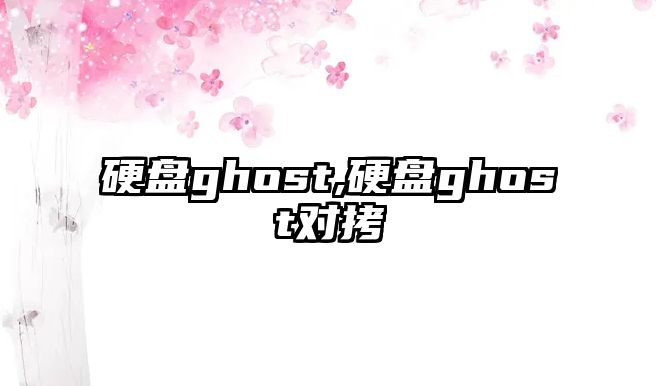 硬盤(pán)ghost,硬盤(pán)ghost對拷