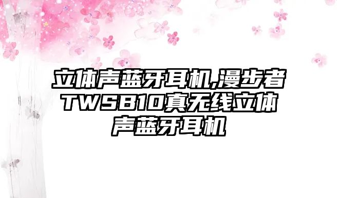 立體聲藍牙耳機,漫步者TWSB10真無(wú)線(xiàn)立體聲藍牙耳機