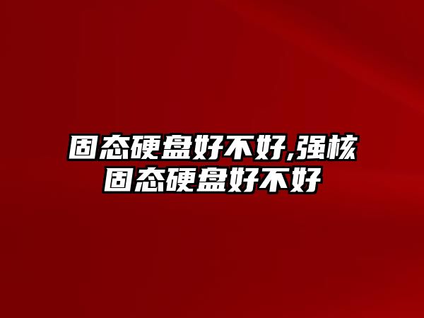 固態(tài)硬盤(pán)好不好,強核固態(tài)硬盤(pán)好不好