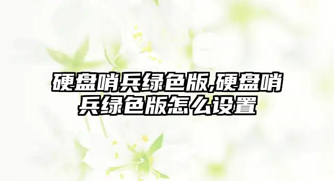 硬盤(pán)哨兵綠色版,硬盤(pán)哨兵綠色版怎么設置