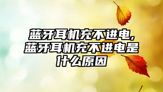 藍牙耳機充不進(jìn)電,藍牙耳機充不進(jìn)電是什么原因