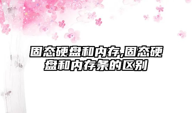 固態(tài)硬盤(pán)和內存,固態(tài)硬盤(pán)和內存條的區別