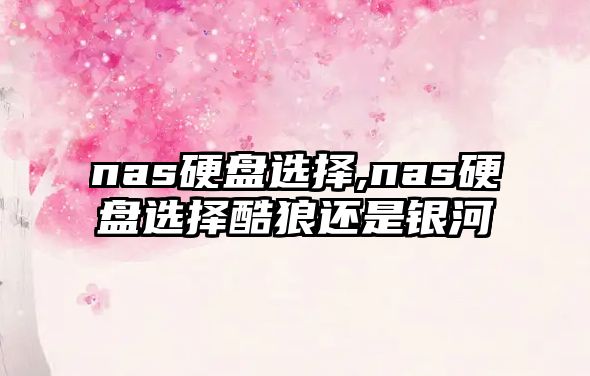 nas硬盤(pán)選擇,nas硬盤(pán)選擇酷狼還是銀河