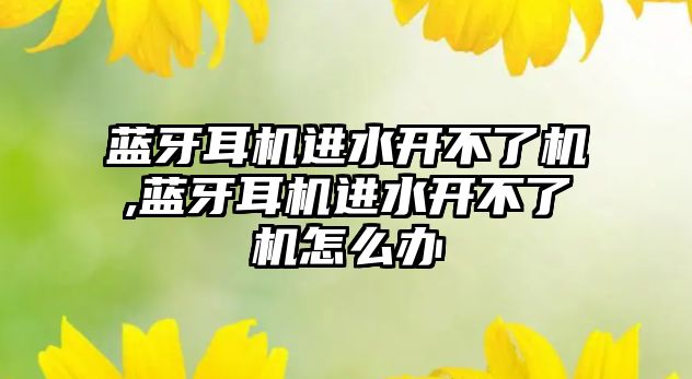 藍牙耳機進(jìn)水開(kāi)不了機,藍牙耳機進(jìn)水開(kāi)不了機怎么辦