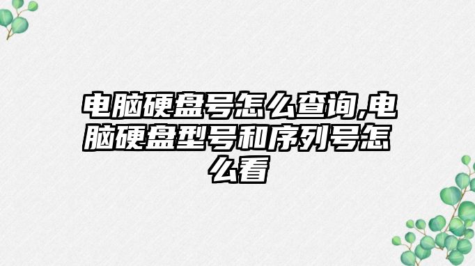 電腦硬盤(pán)號怎么查詢(xún),電腦硬盤(pán)型號和序列號怎么看