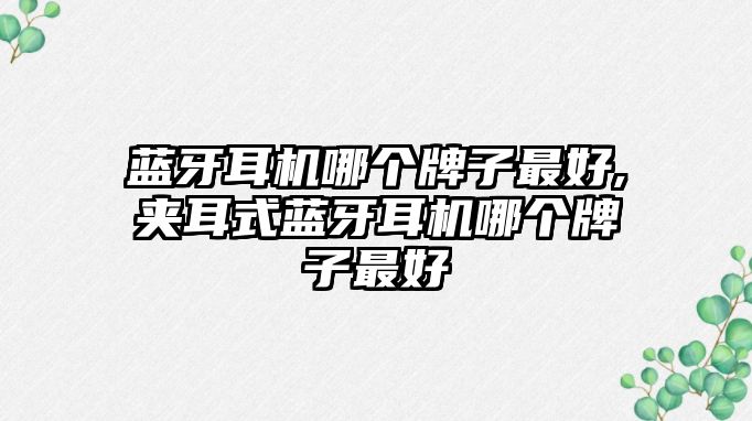 藍牙耳機哪個(gè)牌子最好,夾耳式藍牙耳機哪個(gè)牌子最好