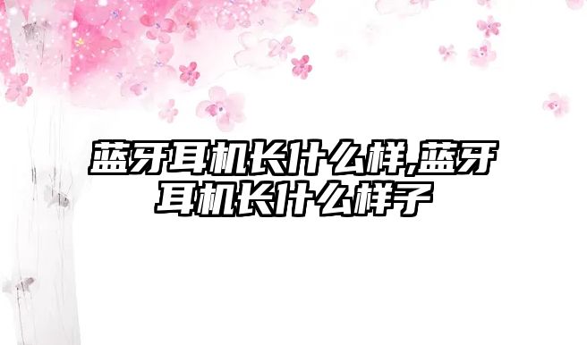 藍牙耳機長(cháng)什么樣,藍牙耳機長(cháng)什么樣子