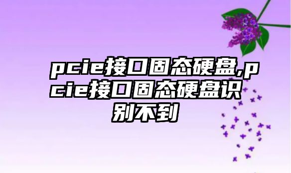 pcie接口固態(tài)硬盤(pán),pcie接口固態(tài)硬盤(pán)識別不到