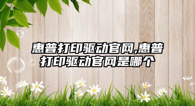 惠普打印驅動(dòng)官網(wǎng),惠普打印驅動(dòng)官網(wǎng)是哪個(gè)