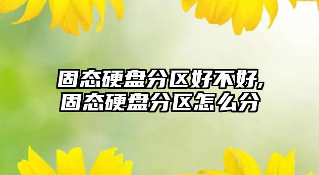固態(tài)硬盤(pán)分區好不好,固態(tài)硬盤(pán)分區怎么分