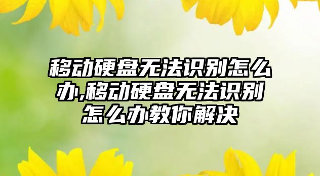 移動(dòng)硬盤(pán)無(wú)法識別怎么辦,移動(dòng)硬盤(pán)無(wú)法識別怎么辦教你解決