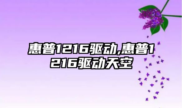 惠普1216驅動(dòng),惠普1216驅動(dòng)天空