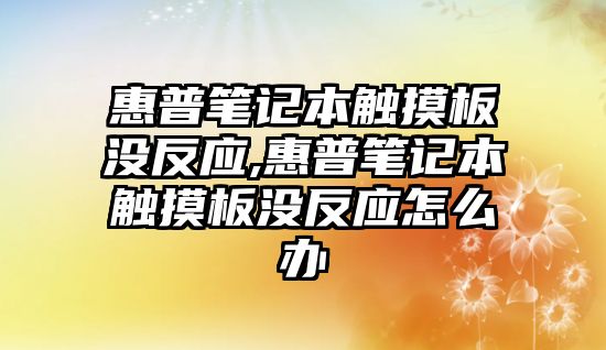 惠普筆記本觸摸板沒(méi)反應,惠普筆記本觸摸板沒(méi)反應怎么辦