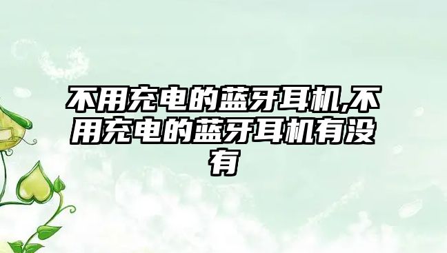 不用充電的藍牙耳機,不用充電的藍牙耳機有沒(méi)有