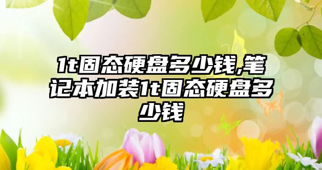 1t固態(tài)硬盤(pán)多少錢(qián),筆記本加裝1t固態(tài)硬盤(pán)多少錢(qián)