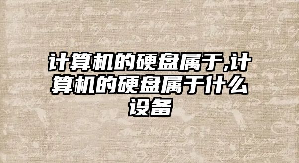 計算機的硬盤(pán)屬于,計算機的硬盤(pán)屬于什么設備