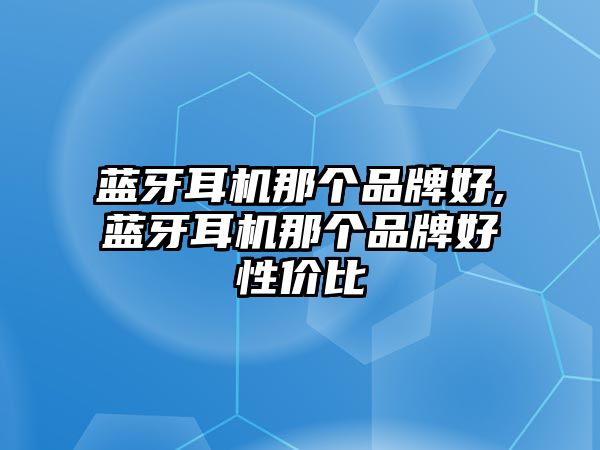 藍牙耳機那個(gè)品牌好,藍牙耳機那個(gè)品牌好性?xún)r(jià)比