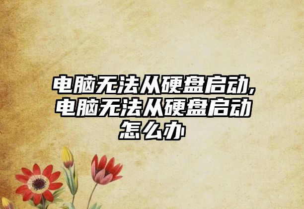 電腦無(wú)法從硬盤(pán)啟動(dòng),電腦無(wú)法從硬盤(pán)啟動(dòng)怎么辦