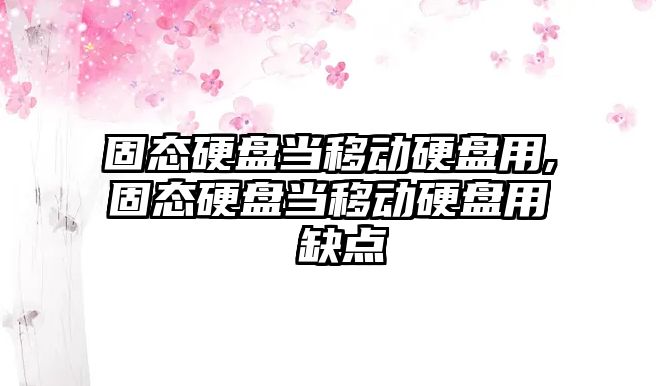 固態(tài)硬盤(pán)當移動(dòng)硬盤(pán)用,固態(tài)硬盤(pán)當移動(dòng)硬盤(pán)用 缺點(diǎn)