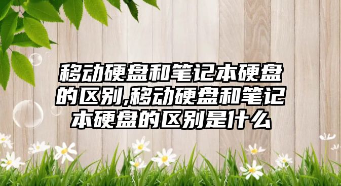 移動(dòng)硬盤(pán)和筆記本硬盤(pán)的區別,移動(dòng)硬盤(pán)和筆記本硬盤(pán)的區別是什么