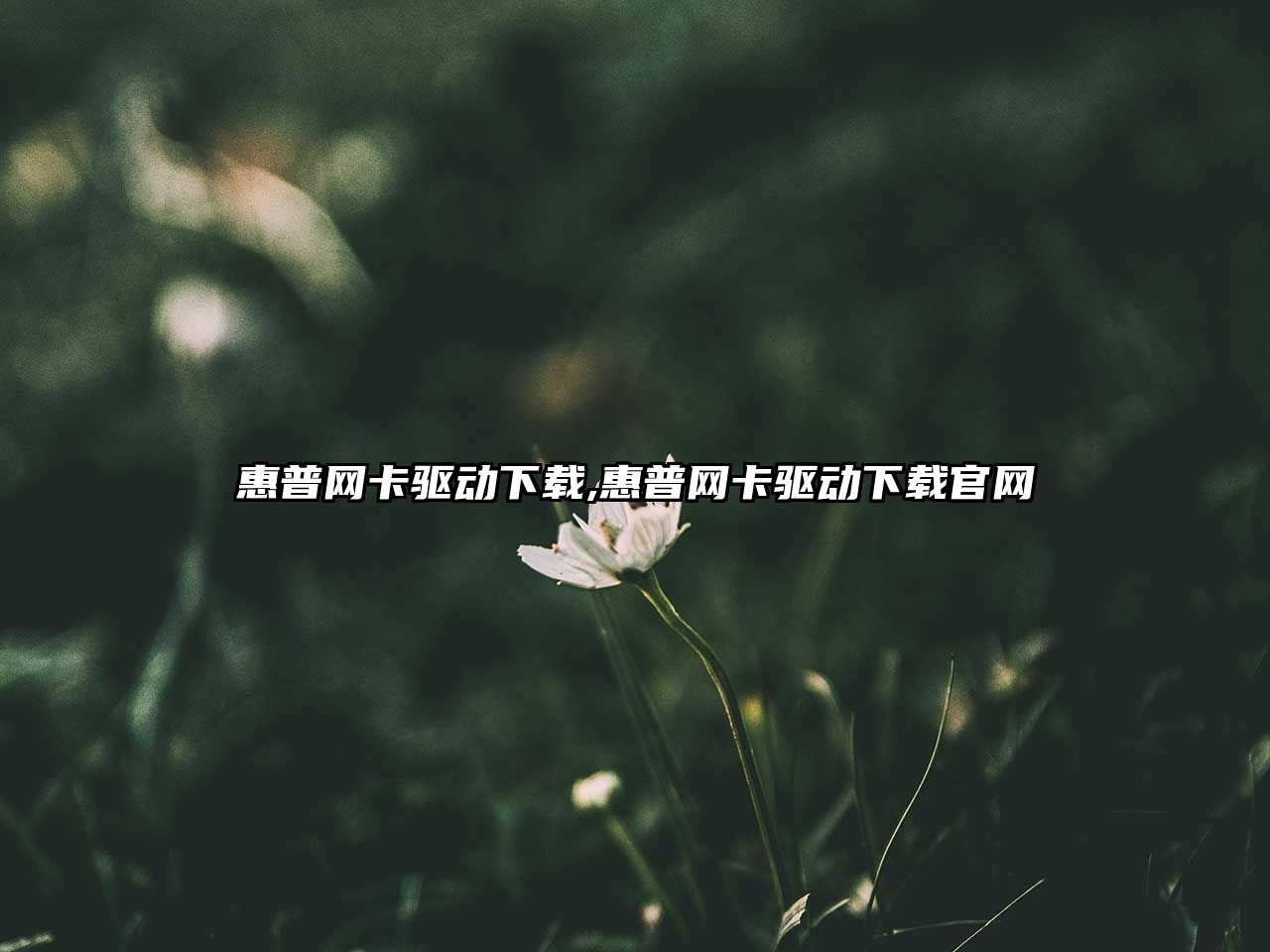 惠普網(wǎng)卡驅動(dòng)下載,惠普網(wǎng)卡驅動(dòng)下載官網(wǎng)
