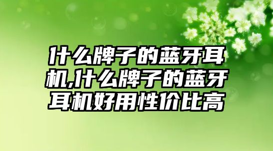 什么牌子的藍牙耳機,什么牌子的藍牙耳機好用性?xún)r(jià)比高