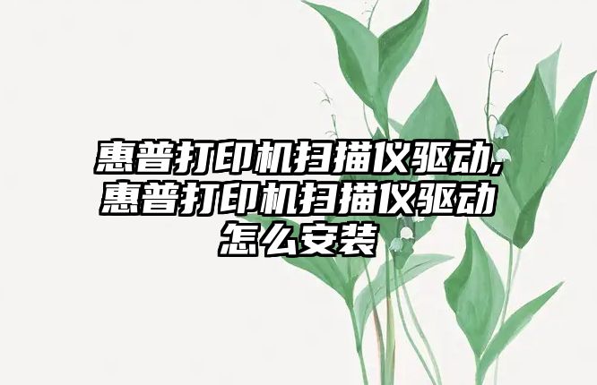 惠普打印機掃描儀驅動(dòng),惠普打印機掃描儀驅動(dòng)怎么安裝