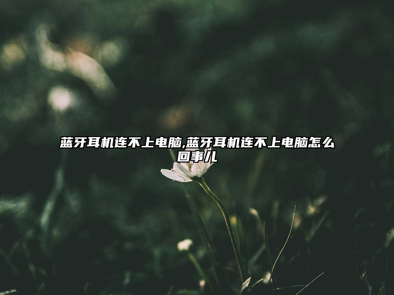 藍牙耳機連不上電腦,藍牙耳機連不上電腦怎么回事兒