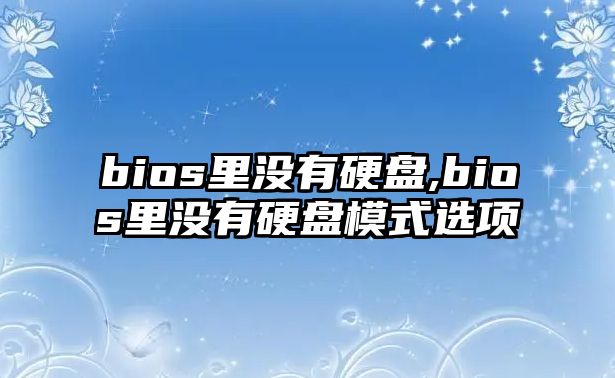 bios里沒(méi)有硬盤(pán),bios里沒(méi)有硬盤(pán)模式選項