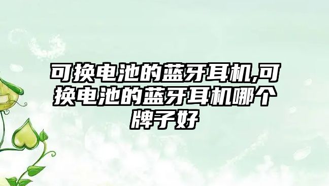 可換電池的藍牙耳機,可換電池的藍牙耳機哪個(gè)牌子好