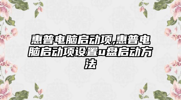 惠普電腦啟動(dòng)項,惠普電腦啟動(dòng)項設置u盤(pán)啟動(dòng)方法