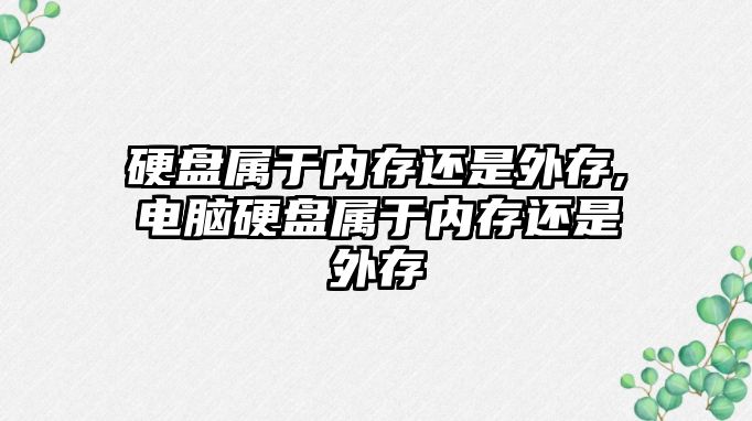 硬盤(pán)屬于內存還是外存,電腦硬盤(pán)屬于內存還是外存